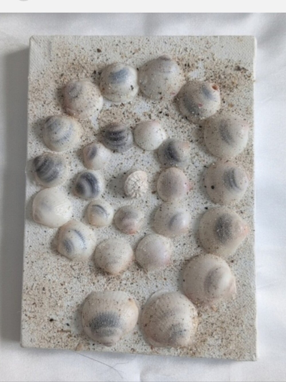 Set of three shell art panels. Perfect for girls bedroom! Seashell Art Trio - Picture 6 of 9